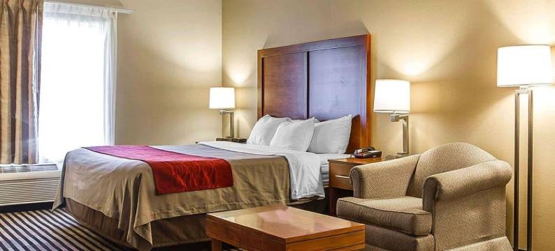 瓦通纳近医学中心舒适酒店(Comfort Inn Owatonna Near Medical Center)图片