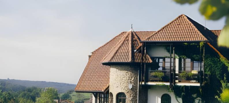 塔纳霍夫酒店(Hotel Tannenhof)图片