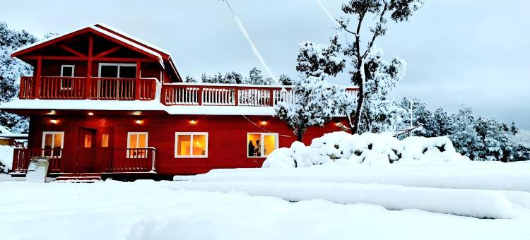万普拉斯塔度假村(Vanprastha Resorts)图片