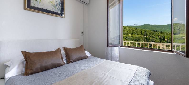 玫瑰客房旅馆(Guest House Rooms Rose)图片