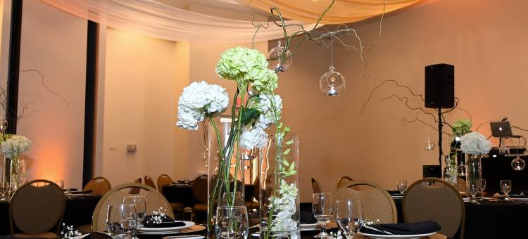 Homewood Suites by Hilton奥兰德公园(Homewood Suites by Hilton Orland Park)图片