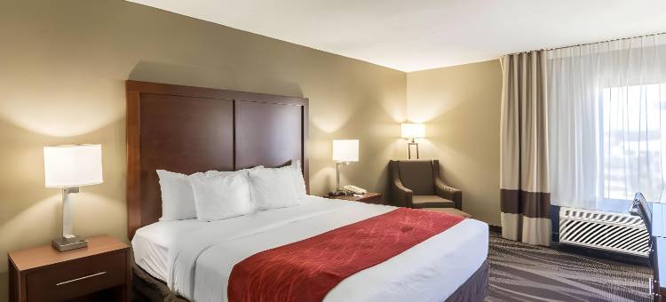 舒适酒店-彭沙科拉大学区(Comfort Inn Pensacola - University Area)图片