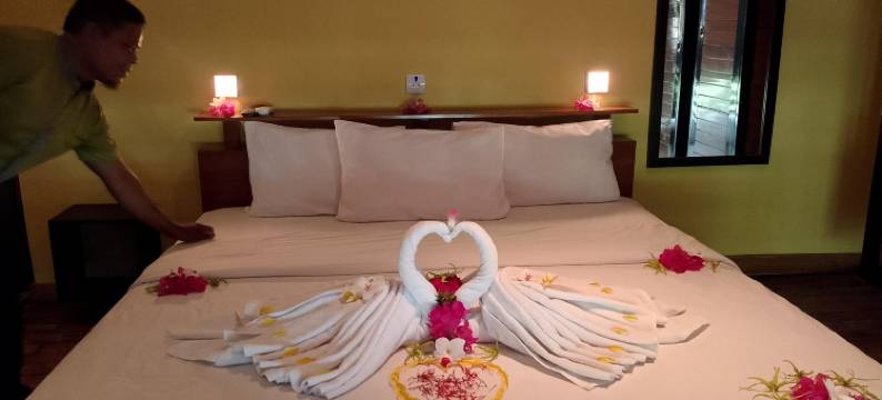 爪哇湾海滩酒店(JavaCove Beach Hotel)图片