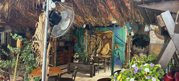 阿尔雅豪旅舍(Al Yakhour Hostel)图片