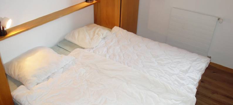 Apartment with balcony views of  Nendaz图片