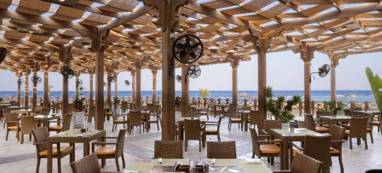 诺富特马萨阿拉姆酒店(Novotel Marsa Alam Beach Resort)图片