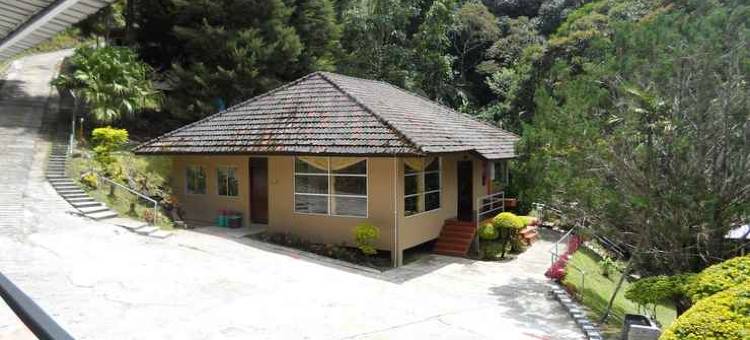 J 住宅(J Residence)图片