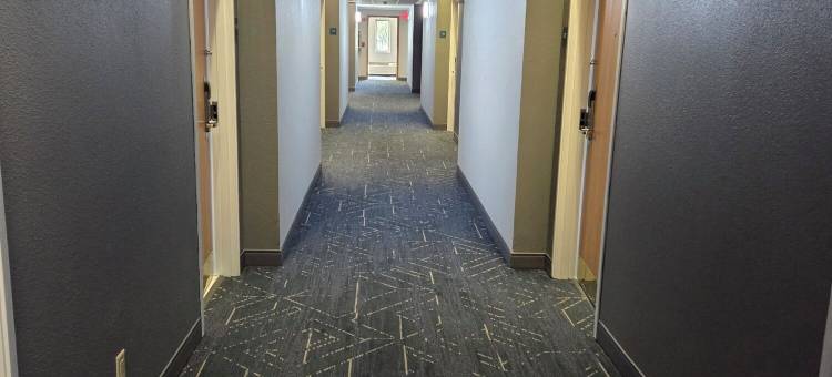 梅恩斯泰套房酒店勒克莱尔 - 四城地区(MainStay Suites LeClaire - Quad Cities)图片