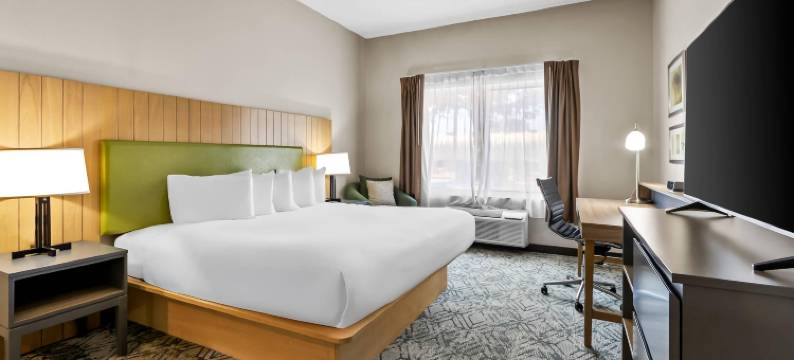 北查尔斯顿部拉迪森乡村酒店套房(Country Inn & Suites by Radisson, Charleston North, SC)图片