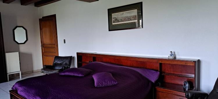 Comfortable holiday home with spacious garden图片
