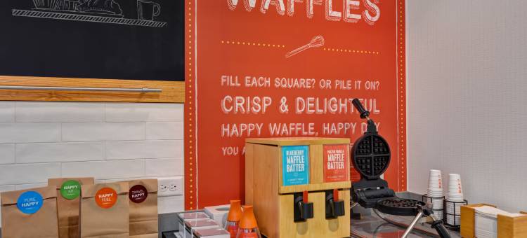 坦帕河景布兰登希尔顿欢朋套房酒店(Hampton Inn & Suites Tampa Riverview Brandon)图片