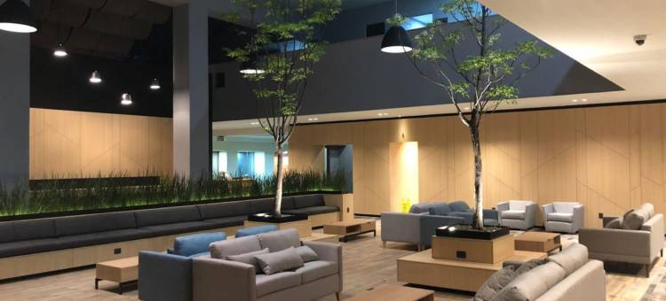 Holiday Inn 莫雷利亚(Holiday Inn MORELIA by IHG)图片