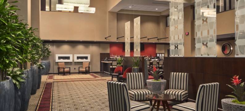 圣路易斯市中心希尔顿安泊酒店(Embassy Suites by Hilton St. Louis Downtown)图片