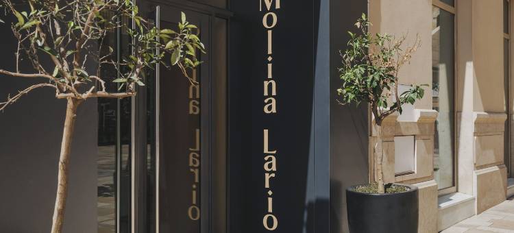 莫利纳拉里奥酒店(Molina Lario)图片