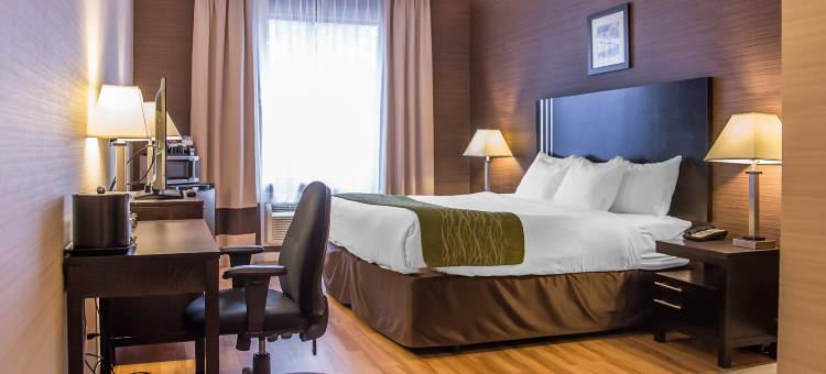 舒适酒店(Comfort Inn)图片