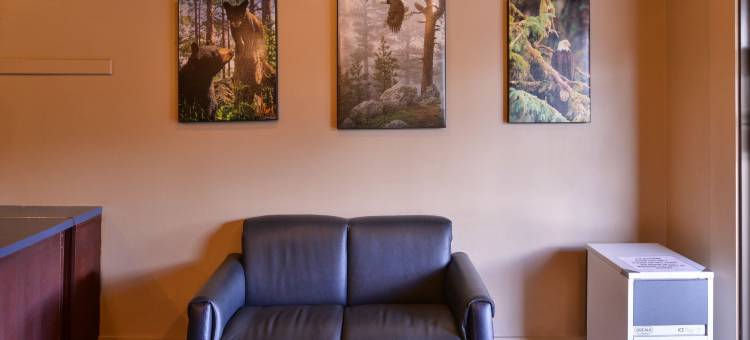 弗尼加拿大最佳价值套房酒店(Canadas Best Value Inn and Suites Fernie)图片