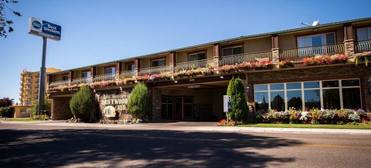 浮木贝斯特韦斯特酒店(Best Western Driftwood Inn)图片