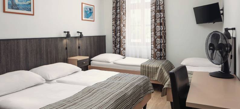 布拉格中央高级酒店(Hotel Superior Prague)图片