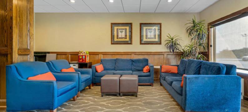 舒适套房酒店(Comfort Inn & Suites)图片