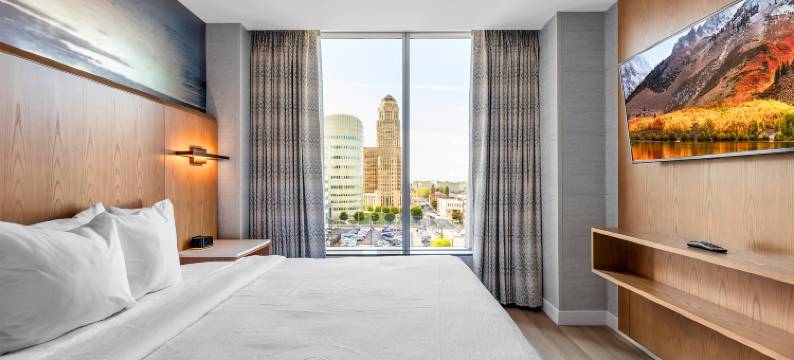 布法罗希尔顿安泊酒店(Embassy Suites by Hilton Buffalo)图片