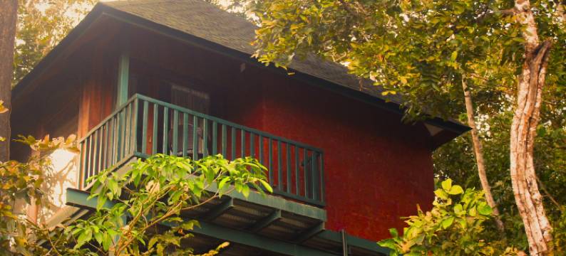 森林边缘度假村(Forest Edge Resort)图片