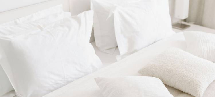 BRIT HOTEL CONFORT 鲁瓦西 圣维茨(Brit Hotel Confort Roissy Saint-Witz)图片