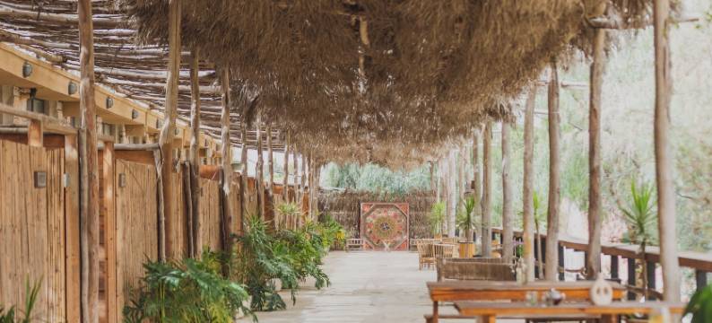 雅各布 米茨佩拉蒙(Jacob Mitzpe Ramon)图片