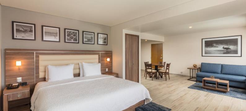 希尔顿欢朋酒店-提华纳奥塔伊(Hampton Inn by Hilton Tijuana Otay)图片