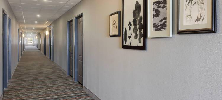 哈利森丽怡酒店(Country Inn & Suites by Radisson, Harrisonburg, VA)图片