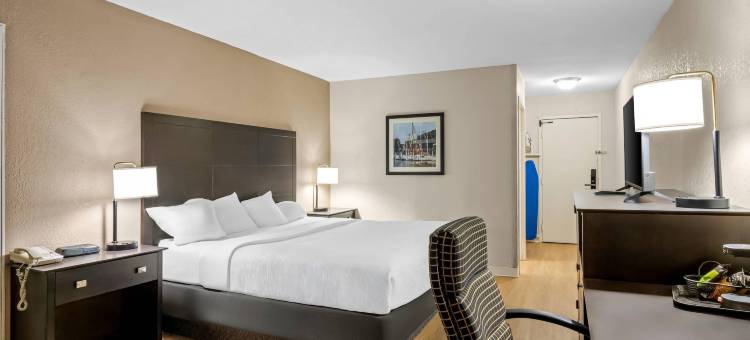 品质酒店及套房(Quality Inn & Suites)图片