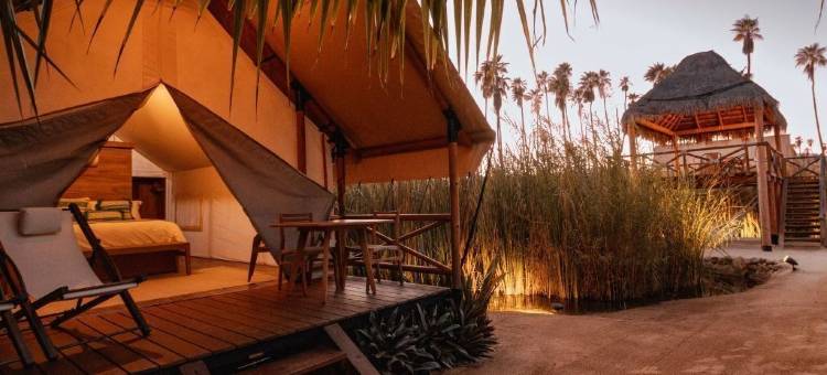 NEST 洛斯卡波斯(Nest Los Cabos)图片