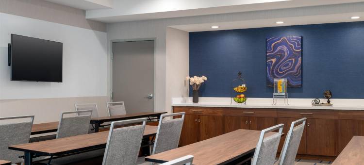 伊普西兰蒂欢朋套房酒店(Hampton Inn & Suites Ypsilanti)图片