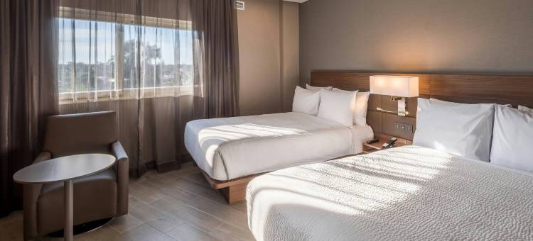 墨西哥瓜达拉哈拉博览中心AC酒店(AC Hotel Guadalajara Expo, Mexico)图片
