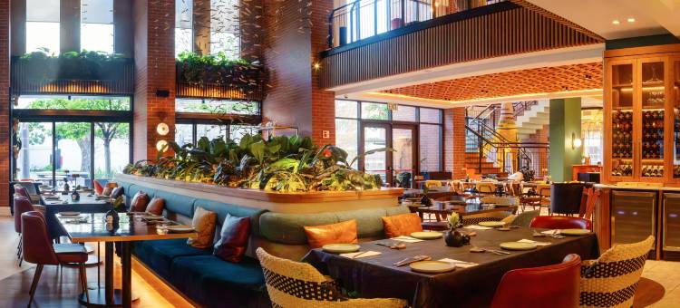 希尔顿 Canopy 开普敦 Longkloof(Canopy by Hilton Cape Town Longkloof)图片