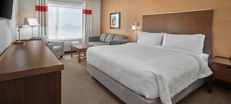 西埃德蒙顿福朋喜来登酒店(Four Points by Sheraton Edmonton West)图片