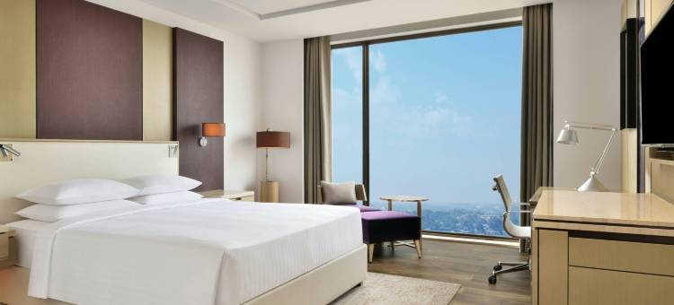 西里古里万豪万怡酒店(Courtyard by Marriott Siliguri)图片