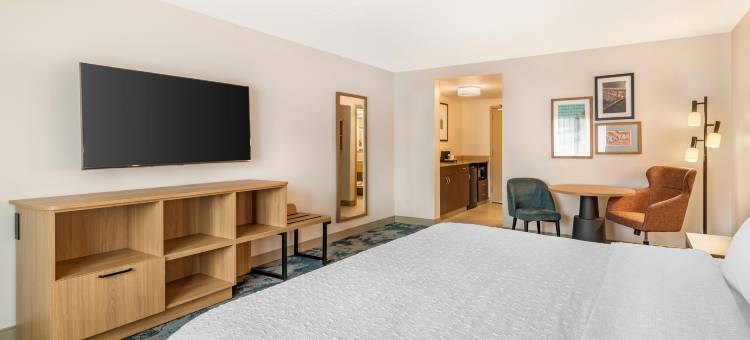 希尔顿欢朋酒店-斯克内克塔迪(Hampton Inn by Hilton Schenectady Downtown)图片
