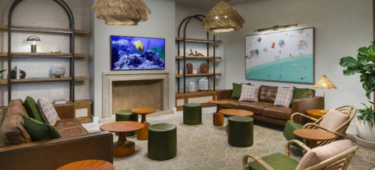 圣彼得海滩希尔顿花园酒店(Hilton Garden Inn St. Pete Beach)图片
