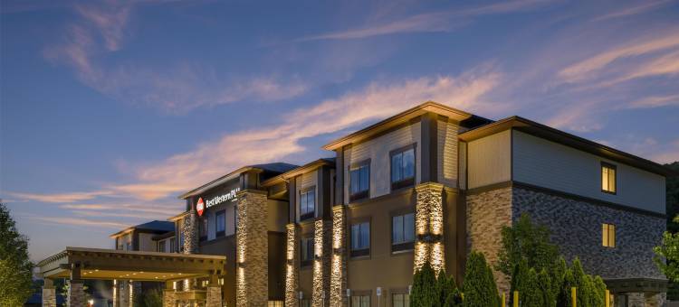 哈蒙兹波特贝斯特韦斯特优质酒店(Best Western Plus the Hammondsport Hotel)图片