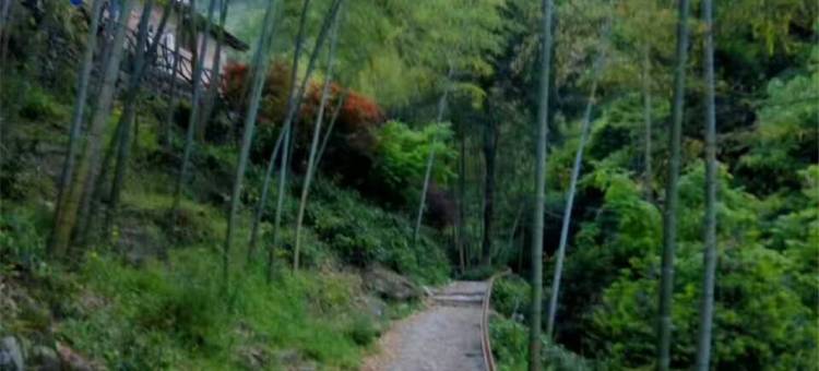 安吉吾心安处民宿图片