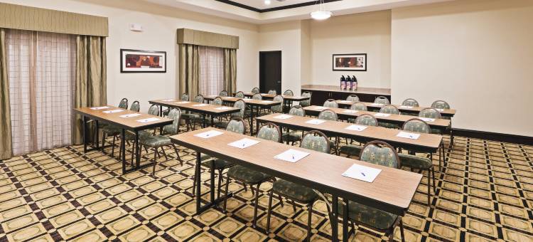 智选假日套房酒店布朗菲尔德(Holiday Inn Express & Suites Brownfield)图片