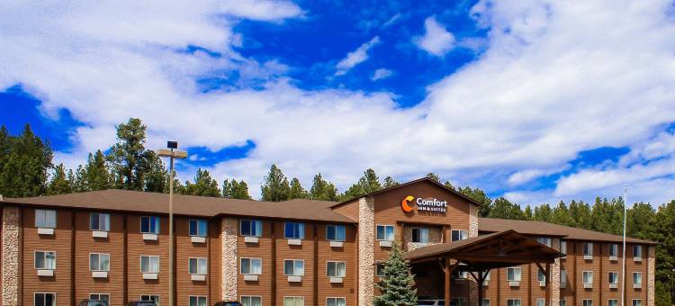 舒适套房酒店(Comfort Inn & Suites)图片