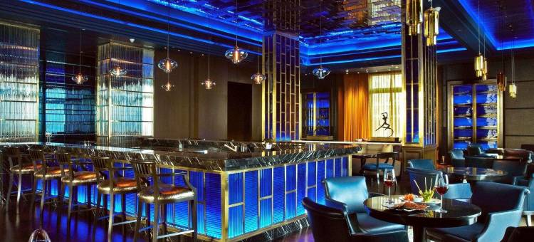 金奈利拉宫酒店(The Leela Palace Chennai)图片
