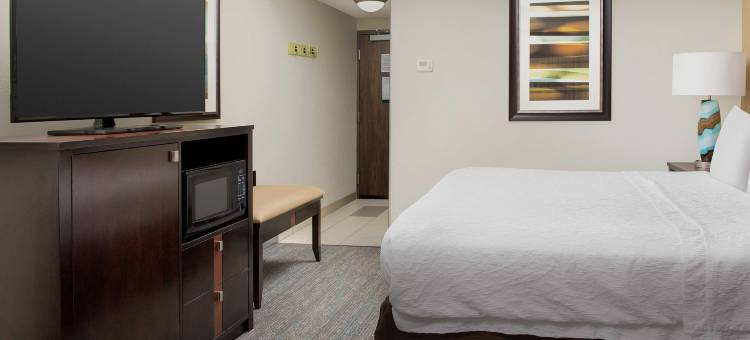 阿尔普哈雷塔欢朋套房酒店(Hampton Inn & Suites Alpharetta)图片