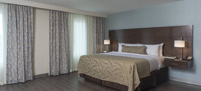 普埃布拉Staybridge Suites(Staybridge Suites PUEBLA by IHG)图片