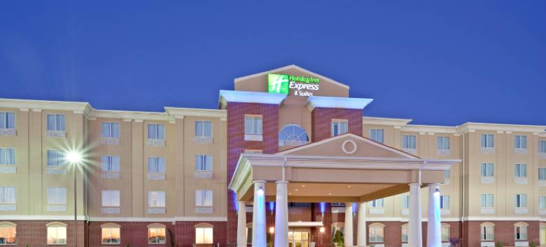 杜马智选假日酒店及套房(Holiday Inn Express & Suites DUMAS by IHG)图片