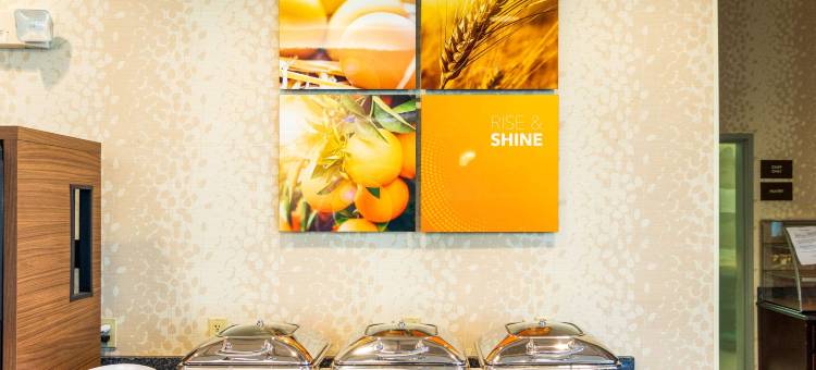 普莱恩维尔-福克斯波罗舒适套房酒店(Comfort Inn & Suites Plainville-Foxboro)图片