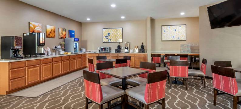 阿巴拉钦/宾汉顿西 17 号公路舒适酒店(Comfort Inn Apalachin / Binghamton W Route 17)图片