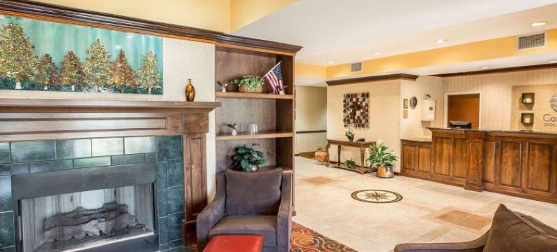 舒适酒店及套房斯帕坦堡北(Comfort Inn & Suites at I-85)图片