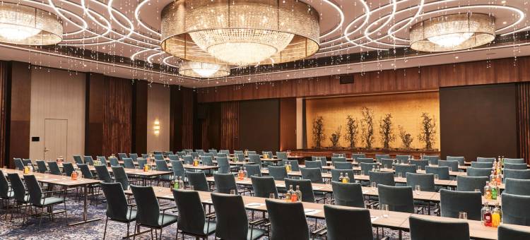 法兰克福宫廷施柏阁大观酒店(Steigenberger Icon Frankfurter Hof)图片